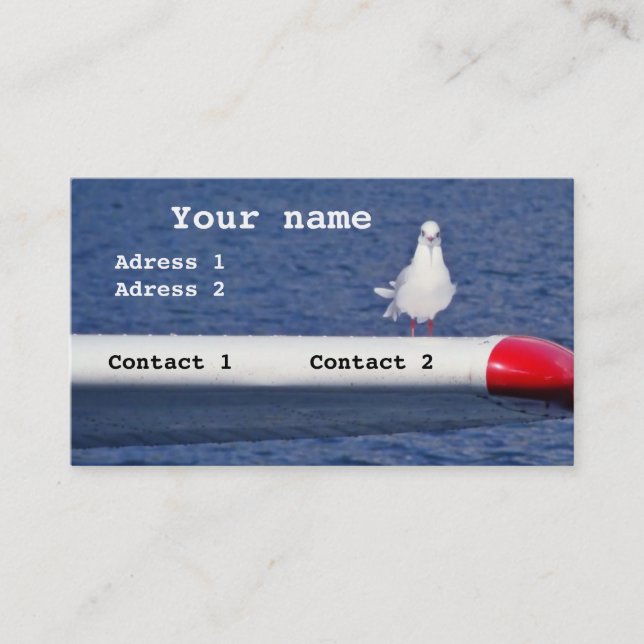 A seagull on an aeroplane - Business Cards (Front)