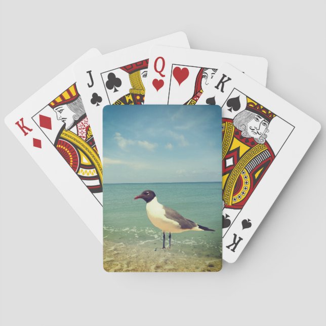 A seagull playing cards (Back)