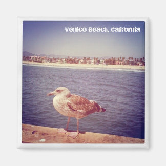 a seagull's life magnet