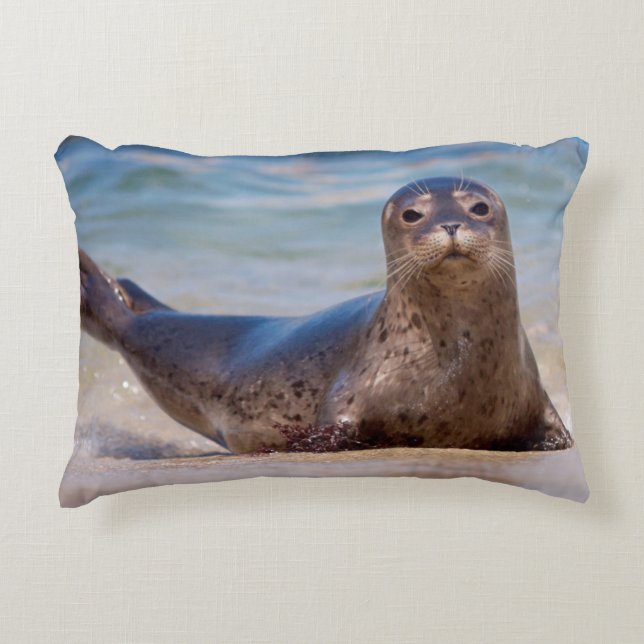 A seal on a beach along the Pacific Coast Decorative Cushion (Front)