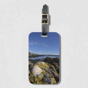 A Seashell Sits On A Rock Dumfries, Scotland Luggage Tag