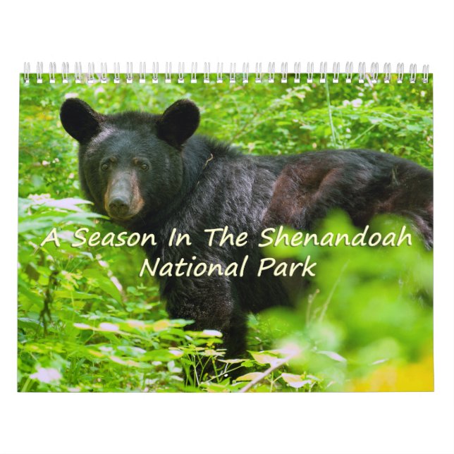 A Season In Shenandoah Nat. Park Vulture Version Calendar (Cover)