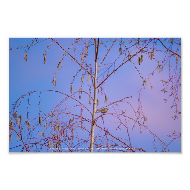 A Secret at Sunset Photo Print (Front)