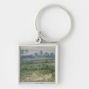 A section from the second version key ring