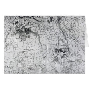 A section of a sheet from the survey