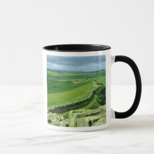 A section of Hadrian's Wall, 2nd century AD (stone Mug