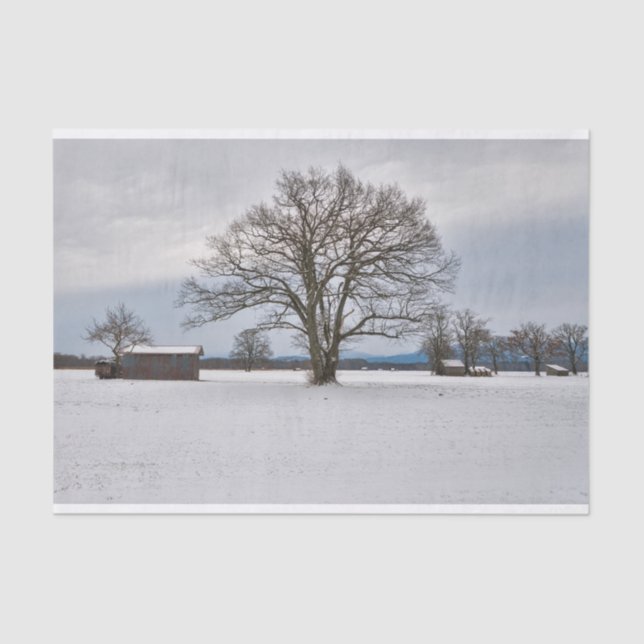 A Sentinel Tree Silently Protecting Winter Barns Tissue Paper (Front)