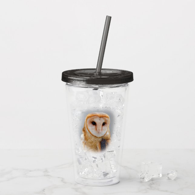 A Serene and Beautiful Barn Owl Acrylic Tumbler (Back Ice)