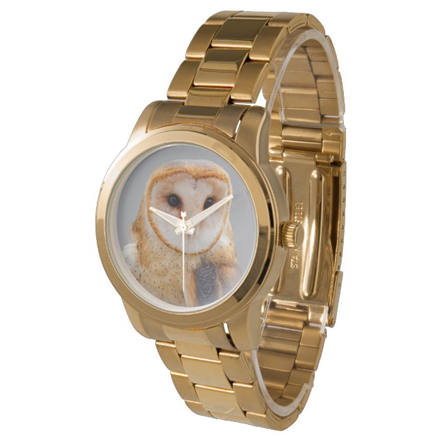 A Serene and Beautiful Barn Owl Watch (Angled)