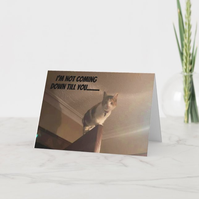 A SERIOUS CAT SAYS "HAPPY BIRTHDAY" CARD (Front)