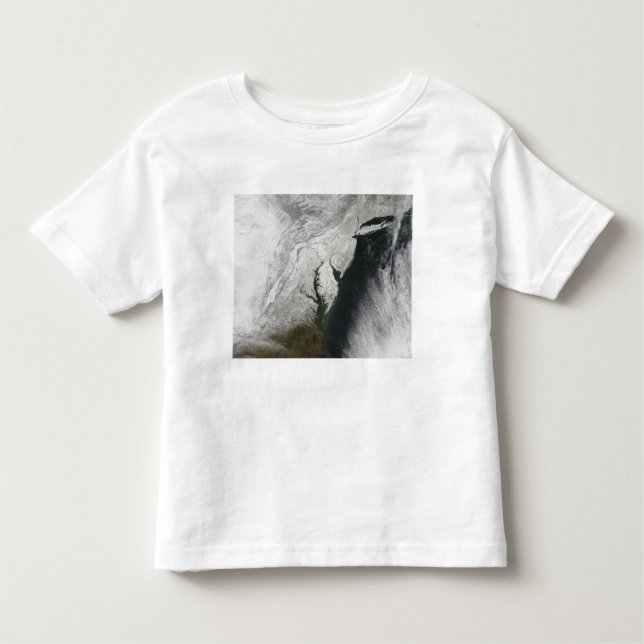 A severe winter storm 2 toddler T-Shirt (Front)