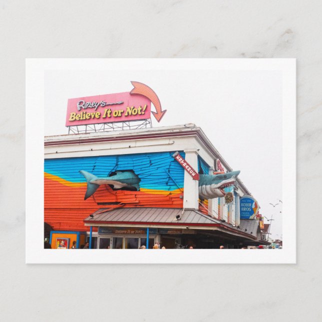 A shark  postcard (Front)