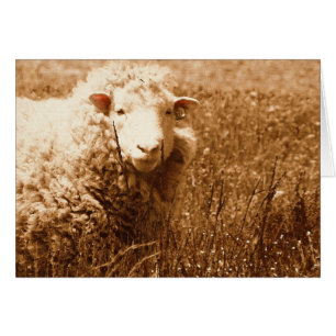 A Sheep Named Ashley in Sepia