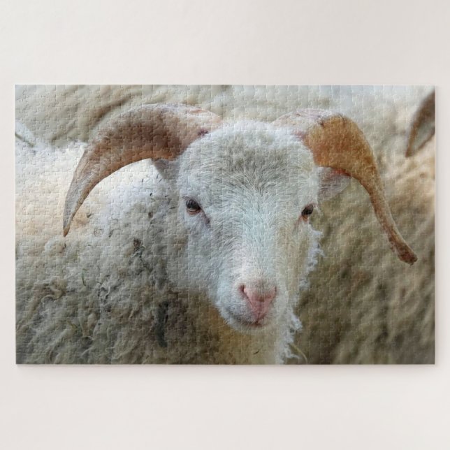 A sheep with horns Puzzle (Horizontal)
