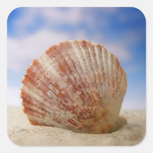 A Shell Propped In The Sand Square Sticker (Front)