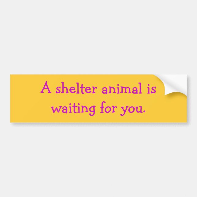 A shelter animal iswaiting for you. bumper sticker (Front)
