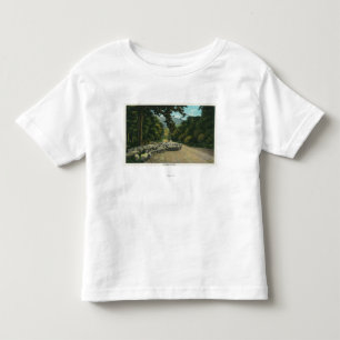 A Shepherd Leading Sheep on a Maine Highway Toddler T-Shirt