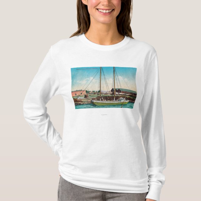 A Shipping Schooner ScenePetaluma, CA T-Shirt (Front)