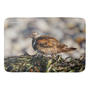 A Showstopping Ruddy Turnstone Bath Mat
