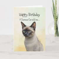 A Siamese Cat Personality Birthday Fun Animal