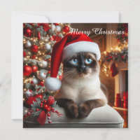 A siamese cat wears a Santa hat
