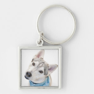 A Siberian Husky Mix Tilts its Head Key Ring