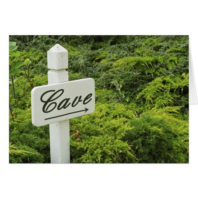 A sign pointing tho the wine cellar (Cave) in (Front Horizontal)