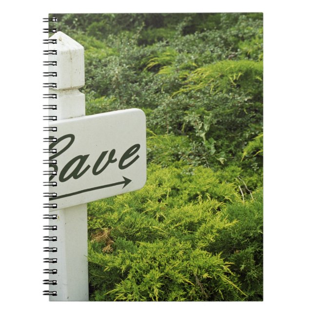 A sign pointing tho the wine cellar (Cave) in Spiral Notebook (Front)