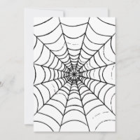 A Simple Spider's Web - Close Up