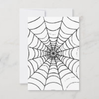 A Simple Spider's Web - Close Up