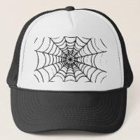 A Simple Spider's Web - Close Up