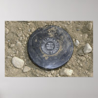 A simulated land mine