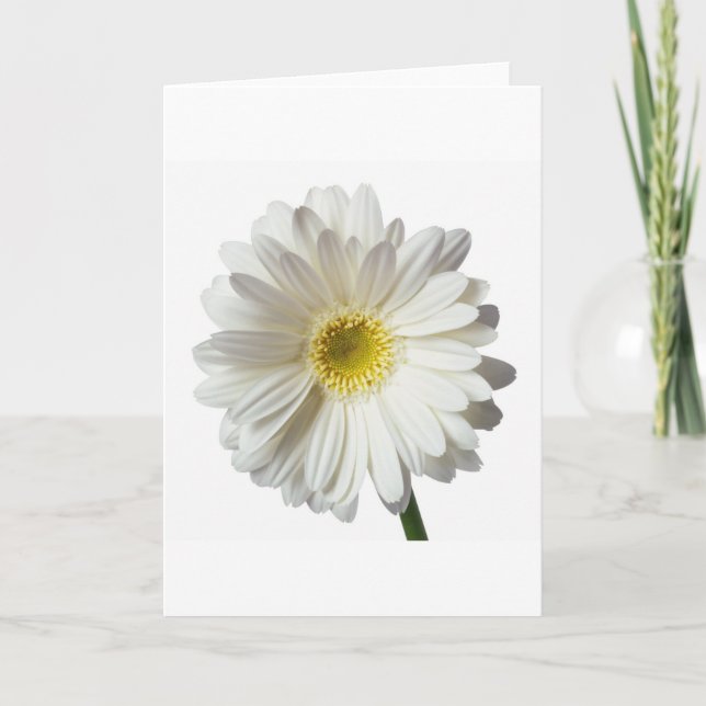 A Single Daisy for you and the Cancer Warrior Thank You Card (Front)