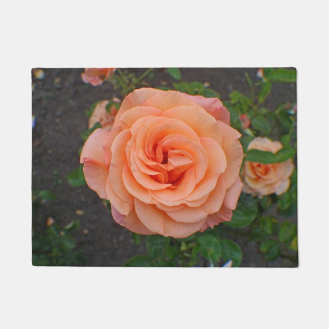 A Single Orange Flower Doormat (Front)