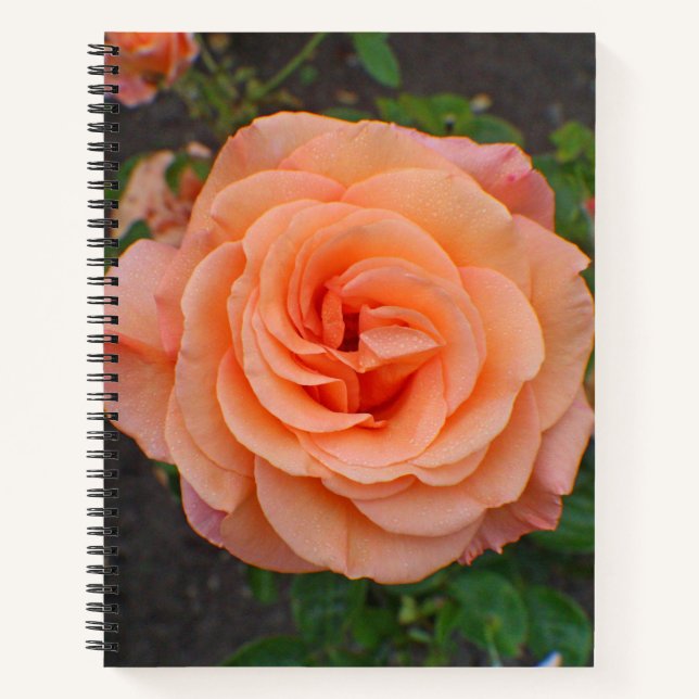 A Single Orange Flower Notebook (Front)