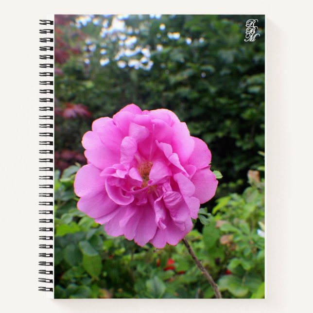 A Single Pink Flower Notebook (Front)