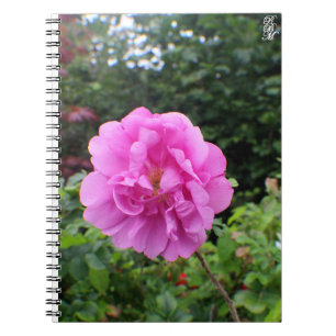 A Single Pink Flower Notebook