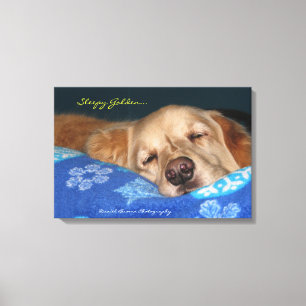 A Sleepy Golden Retriever Canvas Print
