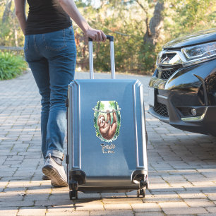 A Sloth Wild Animal Tired