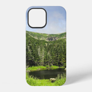 A small pond in the valley of the mountains in the iPhone 12 case