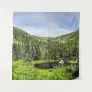 A small pond in the valley of the mountains in the tapestry