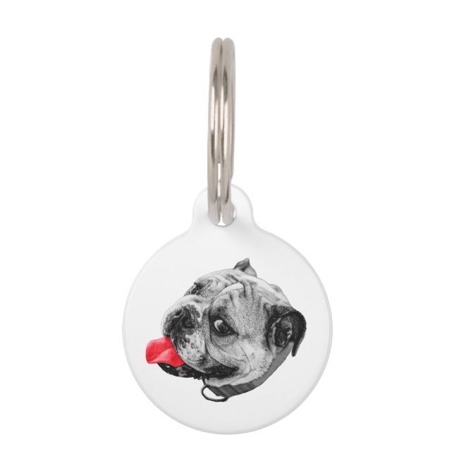 A Small Warm Signal Pet Tag (Front)