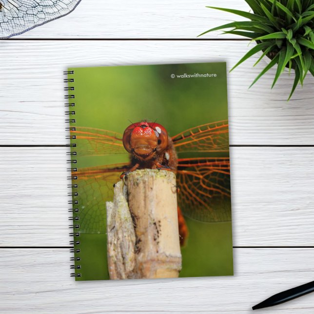 A Smiling Red Dragonfly Spiral Notebook (A Smiling Red Dragonfly Journal Cover Photo)