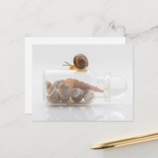 A snail and seashells postcard