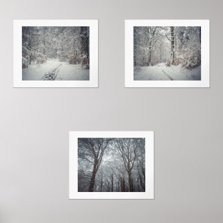 A snow-covered path through a winter forest