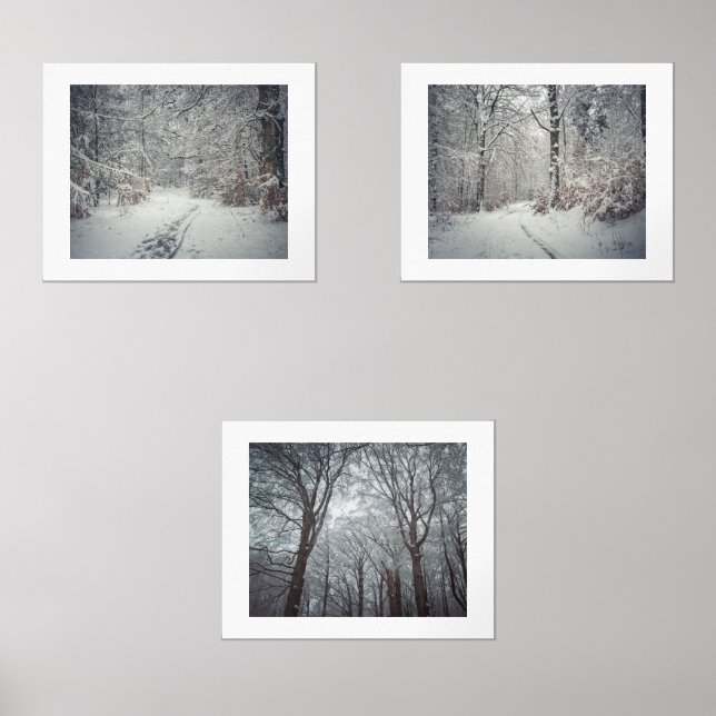 A snow-covered path through a winter forest (Front)