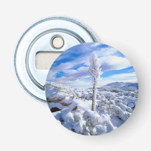 A snow covered yucca bottle opener