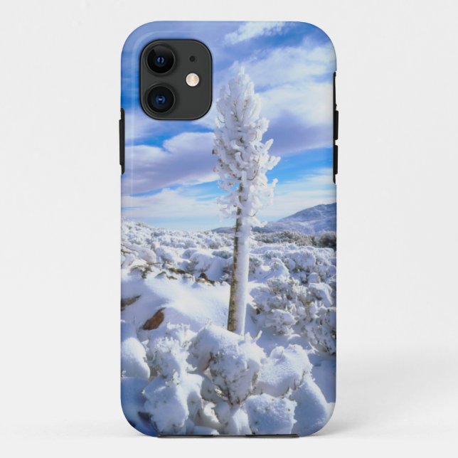 A snow covered yucca Case-Mate iPhone case (Back)
