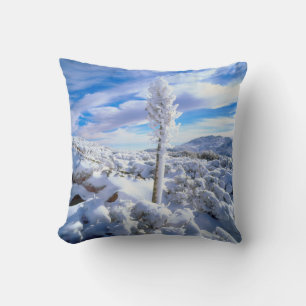 A snow covered yucca cushion
