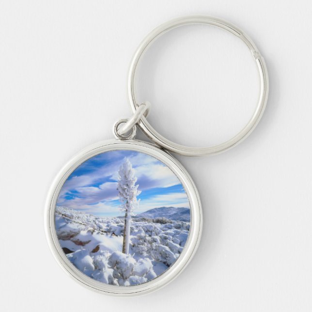 A snow covered yucca key ring (Front)